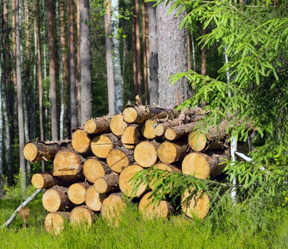 Sustainable craftsmanship: lifetime-quality tools reducing waste